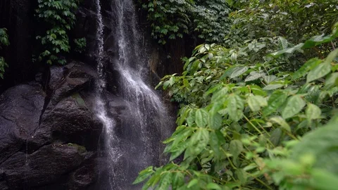 Beautiful waterfall in tropical rainforest Stock Footage 126029844