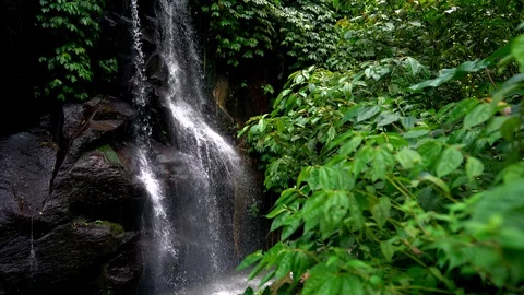 Beautiful waterfall in tropical rainforest Video stock 126029982