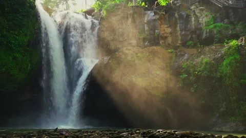 Beautiful waterfall in tropical rainforest Stock Footage 297449993