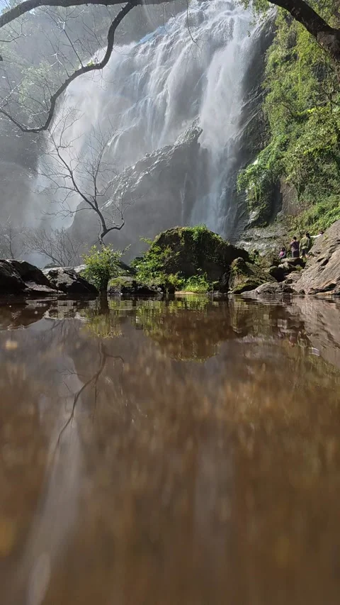 A beautiful waterfall in the tropical rainforest Stock Footage 336307380