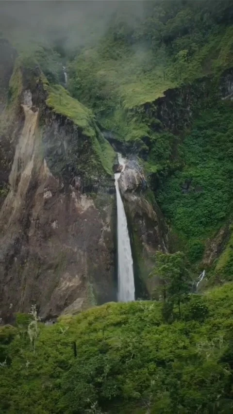 Beautiful waterfall view Video stock 203907114