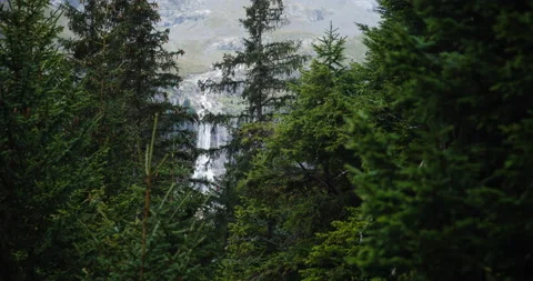 Beautiful Waterfall visible between trees in Swiss Mountains Stock Footage 169910965