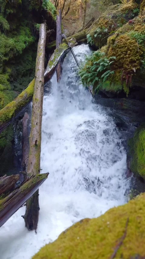 Beautiful waterfall in the woods Stock Footage 273867857