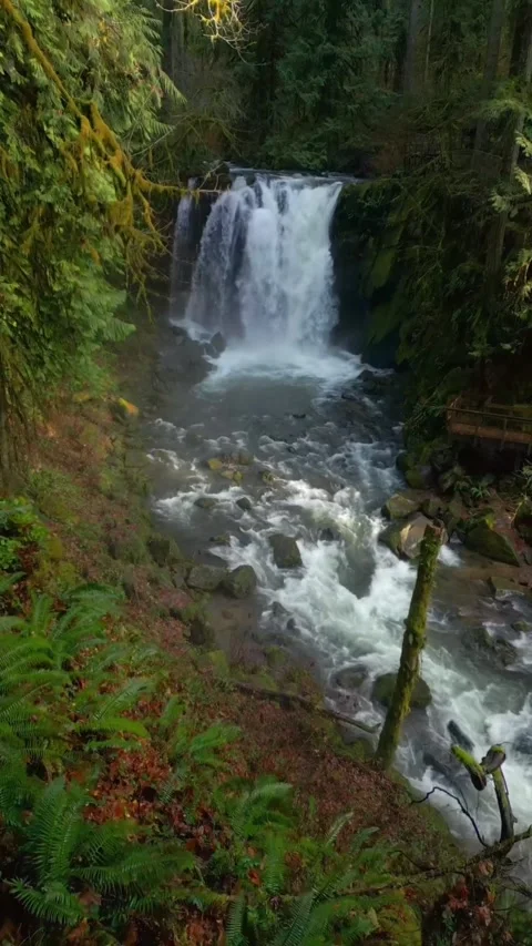Beautiful waterfall in the woods Stock Footage 273981828