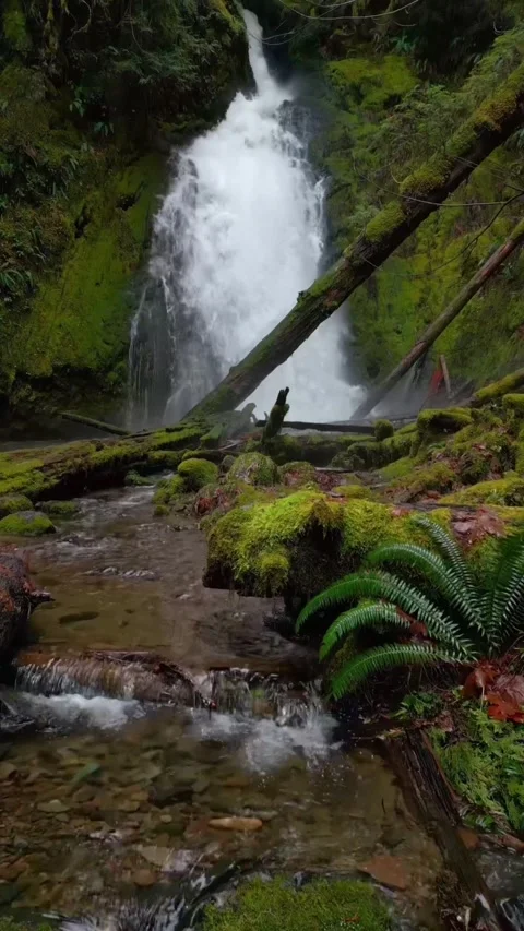 Beautiful waterfall in the woods Stock Footage 273981952
