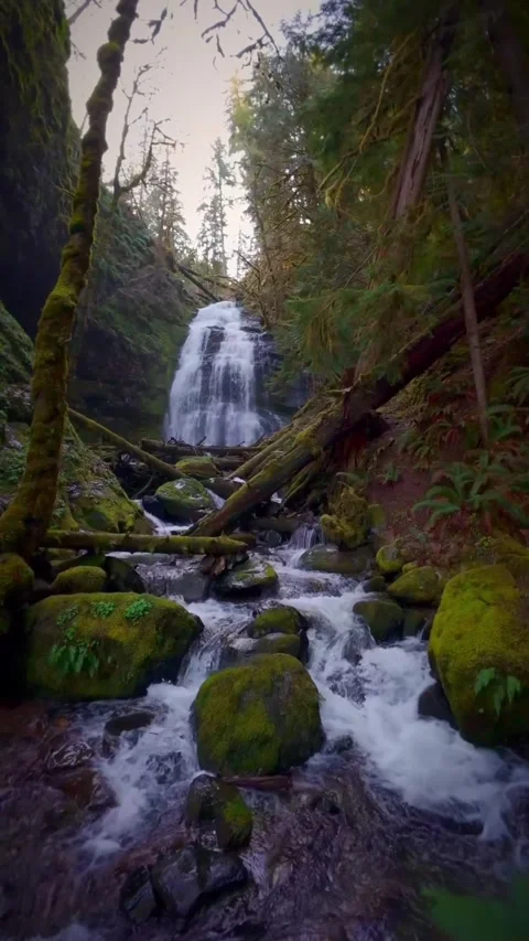 Beautiful waterfall in the woods Stock Footage 273982041