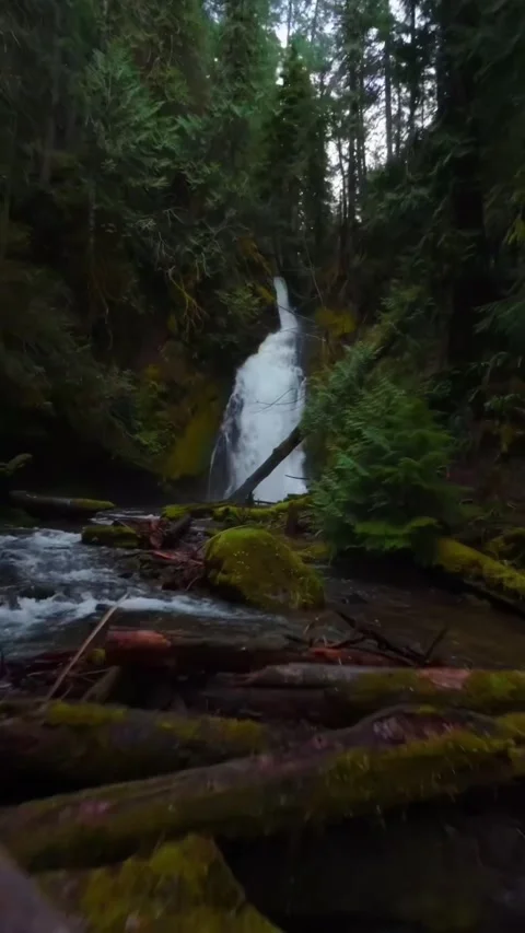 Beautiful waterfall in the woods Stock Footage 274040339