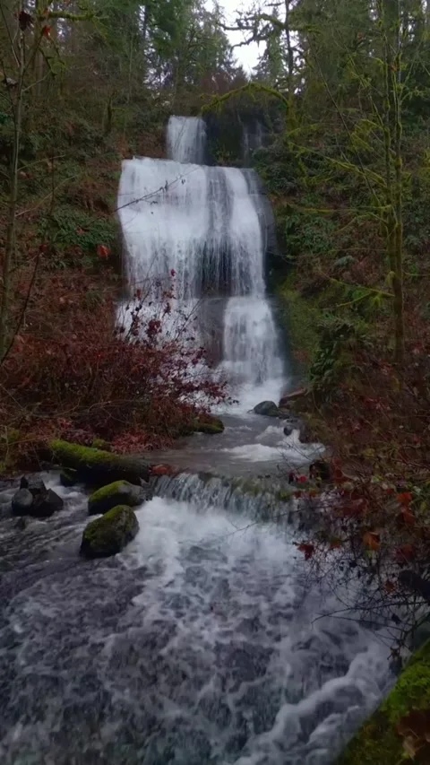 Beautiful waterfall in the woods Stock Footage 274043241