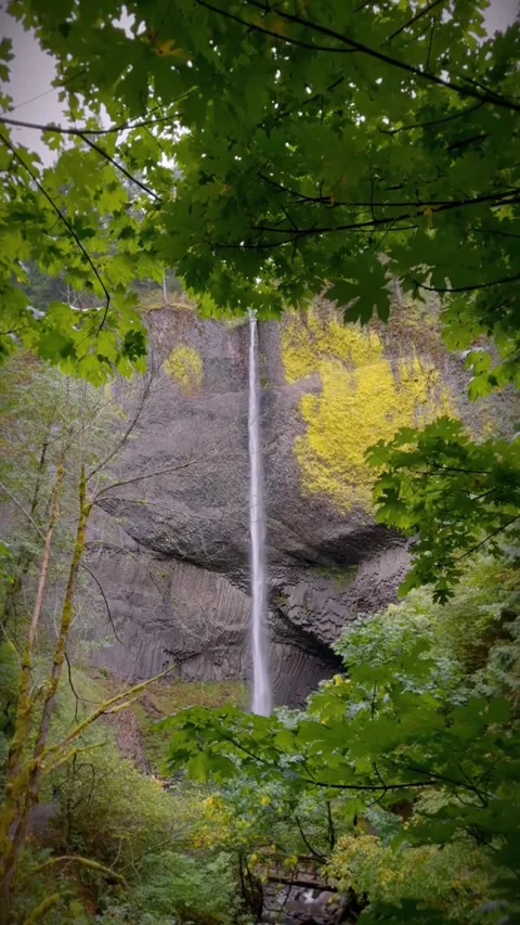 Beautiful waterfall in the woods Stock Footage 274867376