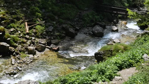 Beautiful waterfalls flow &amp; Bridge Stock Footage 168069273