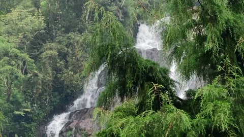 Beautiful waterfalls Stock Footage 297585262