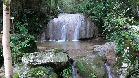 Beautiful waterfalls in the relaxing forest Stock Footage 206466541