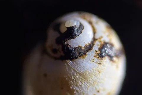 Beautiful wave pattern texture Fotos de archivo