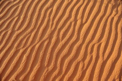 Beautiful wave patterns found in a sand dune in the desert Stock Photos