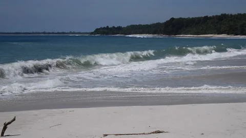 Beautiful wave at the tropical beach Stock Footage 168527447