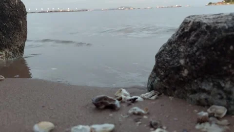 Beautiful waves crash between the rocks and seashells that decorate the sand. Stock-Footage 257085872