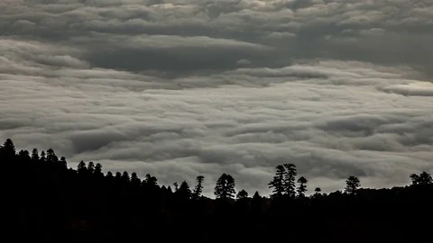 Beautiful Waves Of Low Clouds Flows In Mountains Time Lapse Stock-Footage 83795174