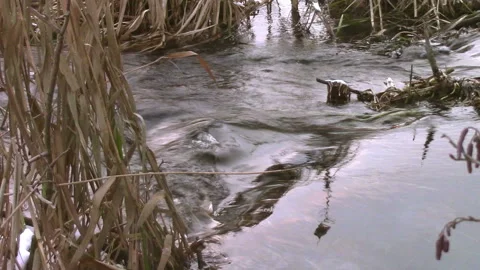 Beautiful waves on the river close up Stock Footage 146771633