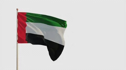 Beautiful waving UAE flag with alpha channel and copy space Stock Footage 148627420