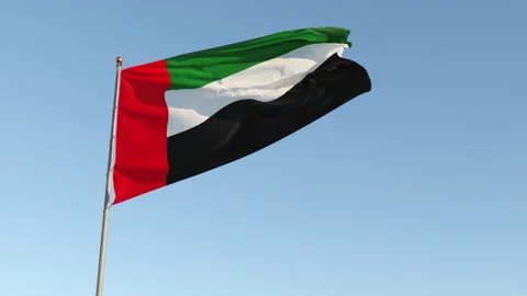 Beautiful waving UAE flag in the sky close up Stock Footage 148625883