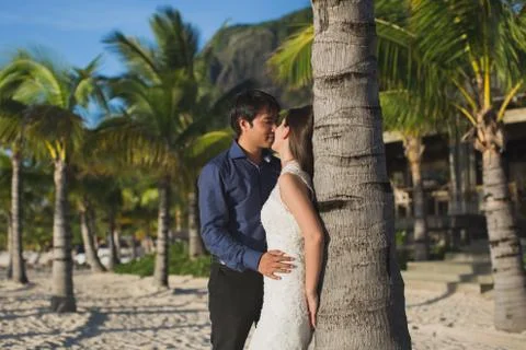 Beautiful wedding couple on the beach near palm tree. Stock Photos