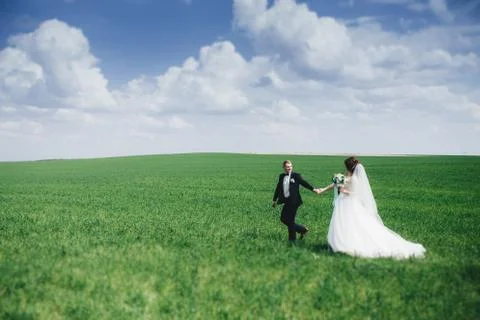 Beautiful wedding couple in the field Stock Photos
