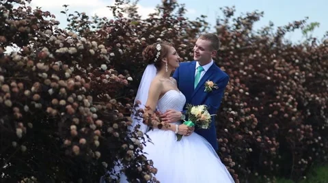 Beautiful wedding couple Stock Footage 68513252