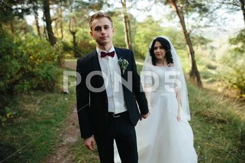 Beautiful wedding couple posing Stock Photos
