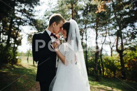 Beautiful wedding couple posing Stock Photos