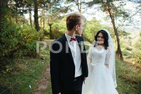 Beautiful wedding couple posing Stock Photos