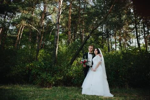 Beautiful wedding couple posing Stock Photos