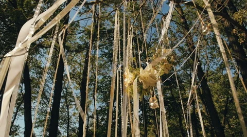 Beautiful Wedding Decoration On The Tree Stock Footage 66752213