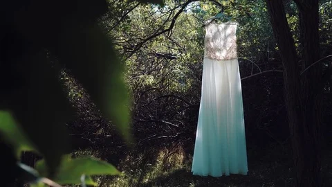 Beautiful wedding dress hanging on a tree in the sunlight Stock Footage 84265722