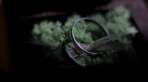 Beautiful wedding Rings close up Vidéo 67343528