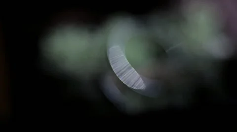 Beautiful wedding Rings close up Stock Footage 67343531