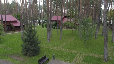 Beautiful wedding setupin forest Stock Footage 82047164