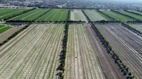 Beautiful Well-Groomed Fields Stock Footage 274472724