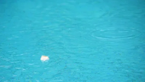A beautiful white and beige light feather floats in the blue turquoise water Stock Footage 134608628