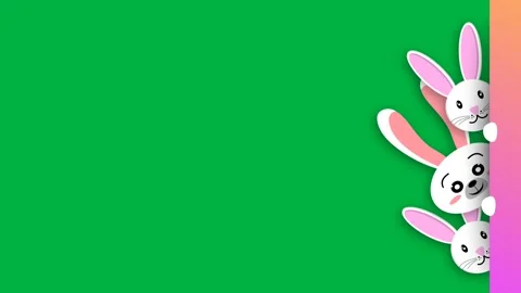 Beautiful white bunny looking animation on green screen Stock Footage 266787743