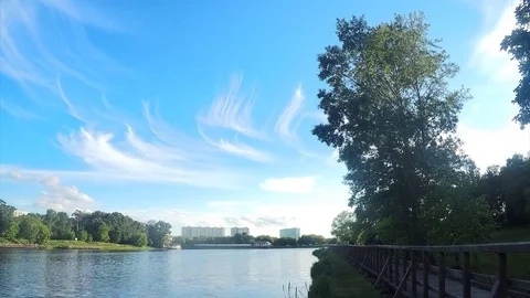 Beautiful white clouds and trees in the park timelapse Stock Footage 82986366