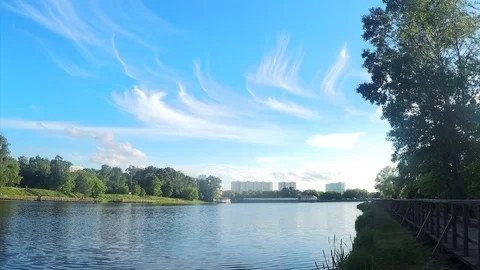 Beautiful white clouds and trees in park timelapse Stock Footage 82986491