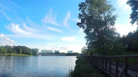 Beautiful white clouds and trees in the summer park timelapse Stock Footage 82986711
