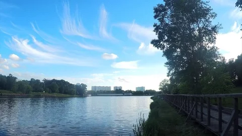 Beautiful white clouds and trees in summer park timelapse 스톡 동영상 82986856