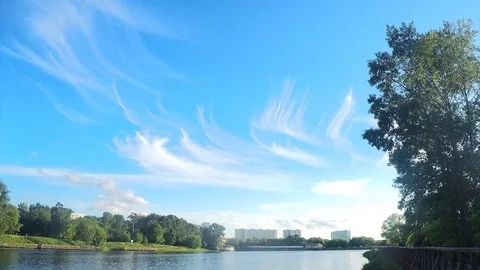 Beautiful white clouds and trees in summer timelapse Stock Footage 82988395