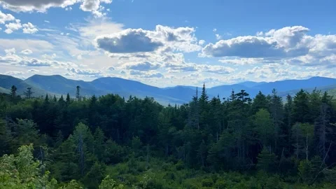 Beautiful white clouds over forest timelapse Stock Footage 284875545