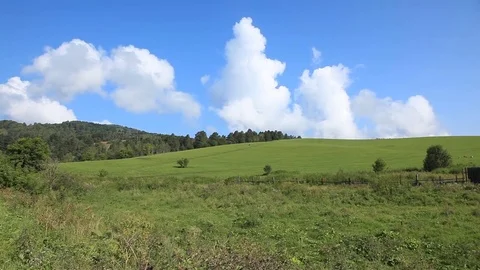 Beautiful white clouds over the green field Stock-Footage 71548333