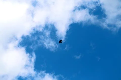 Beautiful white clouds Stock Photos