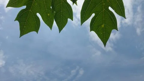 Beautiful white clouds under the sky, Foto stock