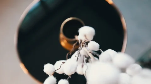 Beautiful white decoratin on the cofee table Stock Footage 120614185