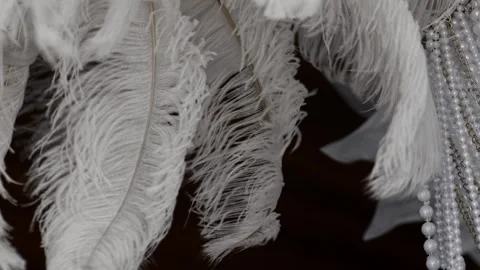 Beautiful white feather texture background. Stock Footage 288831005